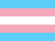 Erfahrungen mit einer Transsexuellen Frau - Göttingen