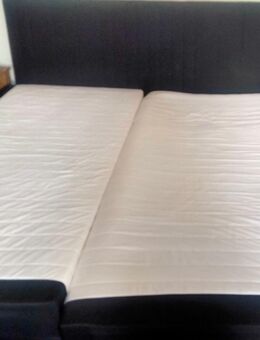 Boxspringbett - Ranis Zentrum