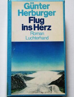 Buch Flug Ins Herz Günter Herburger - Schweitenkirchen