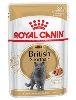 Royal Canin British Shorthair Adult in Soße - Sparpaket: 96 x 85 g