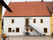 Historisches großes Wohnhaus am Stadtrand von Amberg mit 2 wunderschönen Wohnungen für Alt und Jung! - Amberg