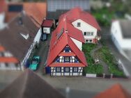 3 in 1: zwei große Wohnhäuser + Einliegerwohnung - Pferdehof und Schwimmteich (MIT OBJEKTFILM) - Winden (Landkreis Germersheim)