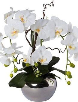 Kunstorchidee Phalaenopsis, Creativ green, Höhe 55 cm, im Keramiktopf