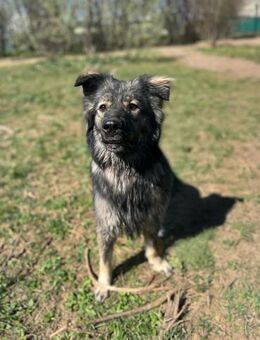 HappyEnd für Fenya - Augsburg