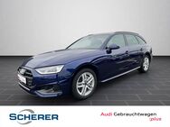 Audi A4, Avant 40 TDI quattro adv, Jahr 2024 - Bingen (Rhein)