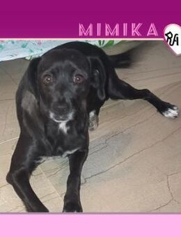 ❤ MIMIKA ❤ - ZEIGST DU MIR DIE WELT? - Alfeld (Leine)