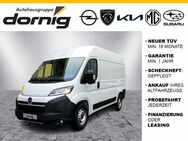 Opel Movano, 3.5 C Cargo t L2H2 Winterp, Jahr 2024 - Helmbrechts