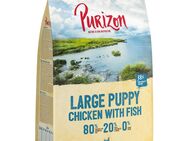 1 kg Purizon zum Probierpreis! - Large Puppy Huhn & Fisch