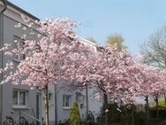 Neue Perspektive - Eigenheim in ruhiger, grüner Wohnlage - Bernau (Berlin)