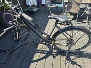 Damen Fahrrad - Essen