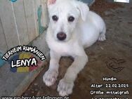 LENYA-gespannt auf das Leben bei euch - Waakirchen