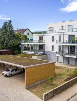Attraktive 2-Zimmer-Appartementwohnung in direkter Kurparknähe mit Carportstellplatz, provisionsfreier Erwerb - Bad Pyrmont