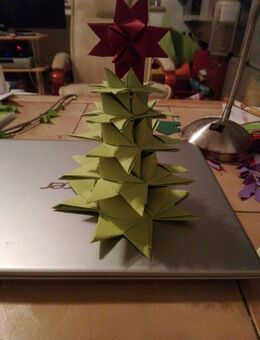 Kleiner Tannbaum - Augsburg