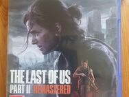 The Last of Us 2 Remastered - Oberkochen