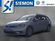 VW Golf Variant, 1.6 TDI Golf VII Trendline, Jahr 2018 - Salzbergen