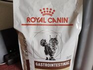 Katzen Trockenfutter - Recklinghausen
