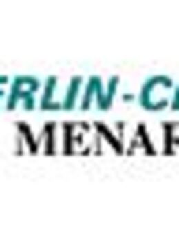 IT-Projekt Manager (m/w/d) Business Solutions - Berlin