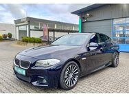 BMW 530 - Niederzier