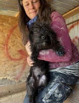 Kleiner Simon - Markkleeberg