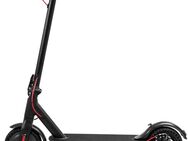 E Scooter mit Straßenzulassung, 10 Zoll - Waiblingen