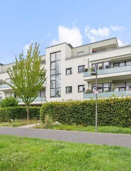 Traumhafte 3-Zimmer-Erdgeschosswohnung in Bonn-Auerberg - Bonn