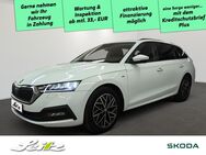 Skoda Octavia, 2.0 TDI Combi Clever SIT, Jahr 2021 - Memmingen