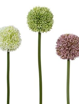 Kunstblume, Creativ green, Höhe 64 cm