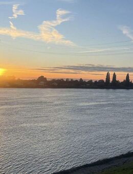 Idylle am Elbdeich: Topgepflegtes Wohnhaus m. 2 Apartments - Hamburg