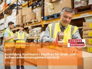 Ausbildung Kaufmann / Kauffrau für Groß- und Außenhandelsmanagement (m/w/d) - Stuhr