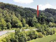 0,9 ha land- und forstwirtschaftliche Flächen - Eisenach Zentrum