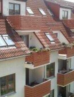 2 Raumwohnung im EG mit Einbauküche - Glauchau