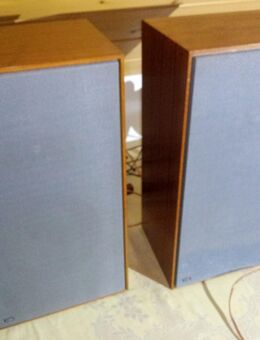 2 Stck. Vintage Lautsprecher wigo WB 25 (Komplett restauriert) - Asbach (Landkreis Neuwied)