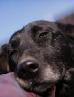 INGMAR - los geht's spielen und lernen - Overath