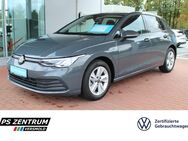 VW Golf, 1.5 TSI VIII Life, Jahr 2023 - Versmold