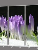 Trauerhallen dekorieren mit einem Roll-Up Display 3er-Set "Lila Krokusse im Schnee“ - Bestatterbedarf, Hallendekoration- Trauerhalle, Beerdigung in 26382