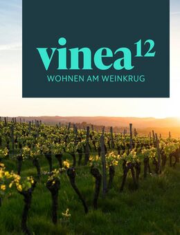 Vinea12 - Wohnen am Weinkrug - Dettelbach
