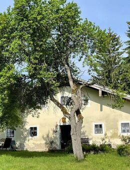 Renoviertes Bauernhaus in idyllischer Alleinlage in der Nähe des Skigebiets Hochficht - Breitenberg (Bayern)