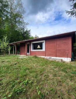 Wochenend-Blockhaus im Amorhof - Ihr Rückzugsort im Grünen - Amorbach