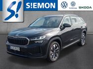 Skoda Kodiaq, 2.0 TDI Selection LM19, Jahr 2024 - Emsdetten