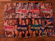 GREY'S ANATOMY - DVDS - 1. - 5. Staffel - Augsburg