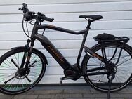 Haibike Sduro Trekking 6.0 2019 - Lambsheim