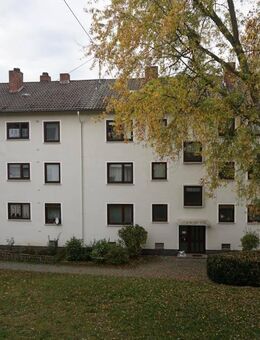 2-Zimmer-Wohnung in Mayen - Mayen