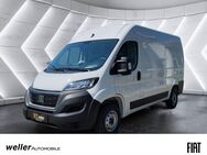 Fiat Ducato, L2H2 Kastenwagen Holzboden & Verkleidung, Jahr 2024 - Bietigheim-Bissingen