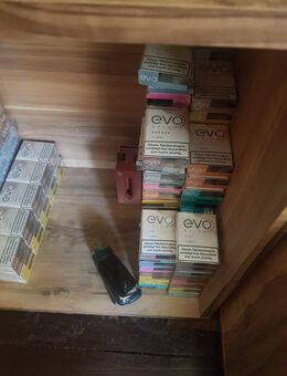 Evo Sticks - Hameln