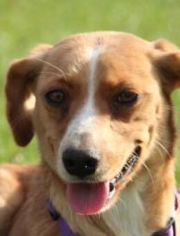 Stell möchte mit Dir die Welt entdecken. - Hagen (Stadt der FernUniversität)