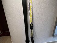 Ski Fischer Gr. 183 - Buchs SG