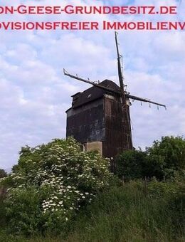 *Gut erhaltene Mühle, in ruhiger Alleinlage* - Querfurt
