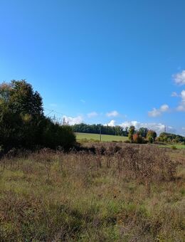 Wiese zu verpachten an Bauern - Werneck