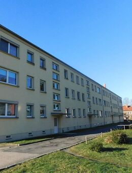 Schicke 3-Raumwohnung in ruhiger Lage - Nossen