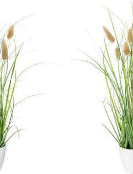 Kunstgras Grasbusch Lagurus Gras, Creativ green, Höhe 40 cm